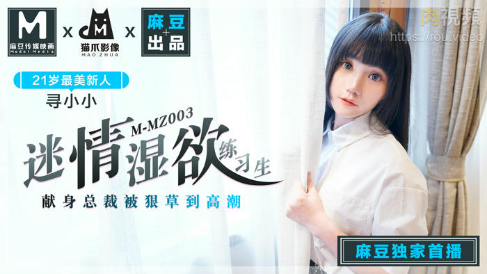 美女视频一区二区-久久久久久97免费精品一级小说